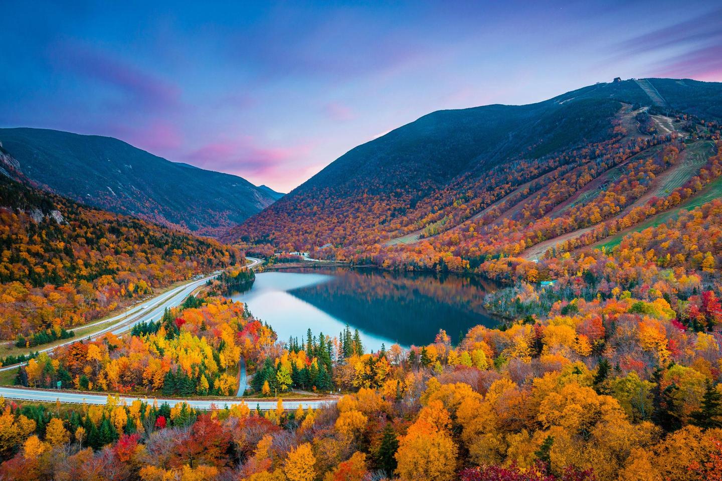 Fall trees in New England, USA